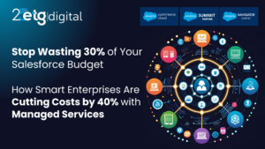 Salesforce Managed Services - Cost Optimization